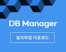 DB Manager